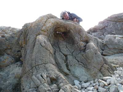 Fossil_forest.jpg